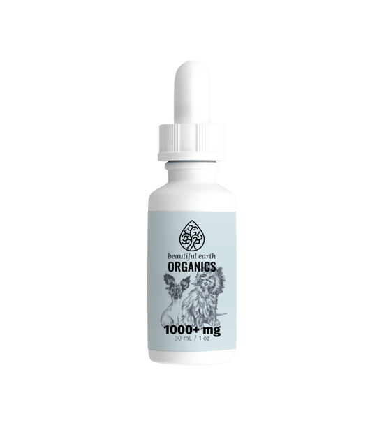 🐾 Raw Food + CBD: A Holistic Approach to Pet Health